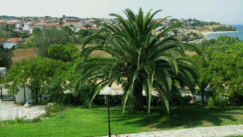 Néa Fókaia Villa Madeleine Tower View מראה חיצוני תמונה
